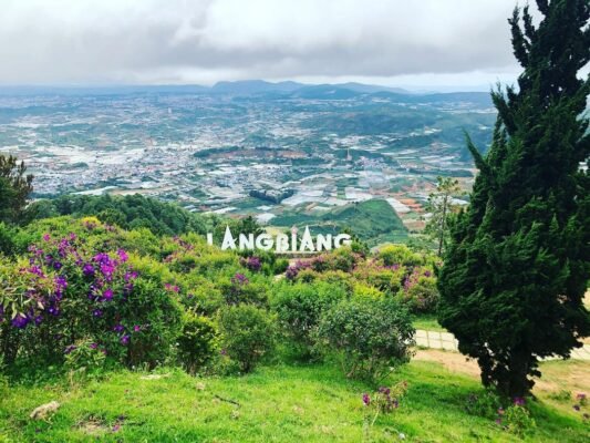 From the top of Langbiang, visitors will see a peaceful, gentle and poetic Da Lat, mountain ranges, rows of trees, and small romantic houses.