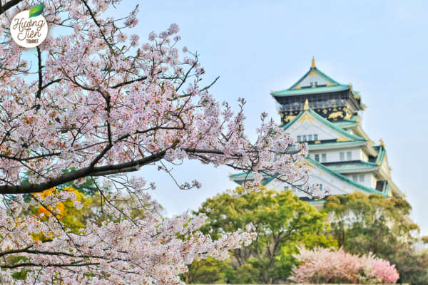 Lâu đài Osaka - công trình di sản nổi bật và tự hào trong hành trình Tour Nhật Bản Tết Nguyên Đán 2025.