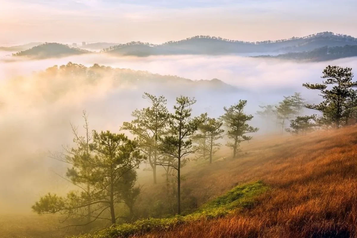 điểm săn mây ở Đà Lạt