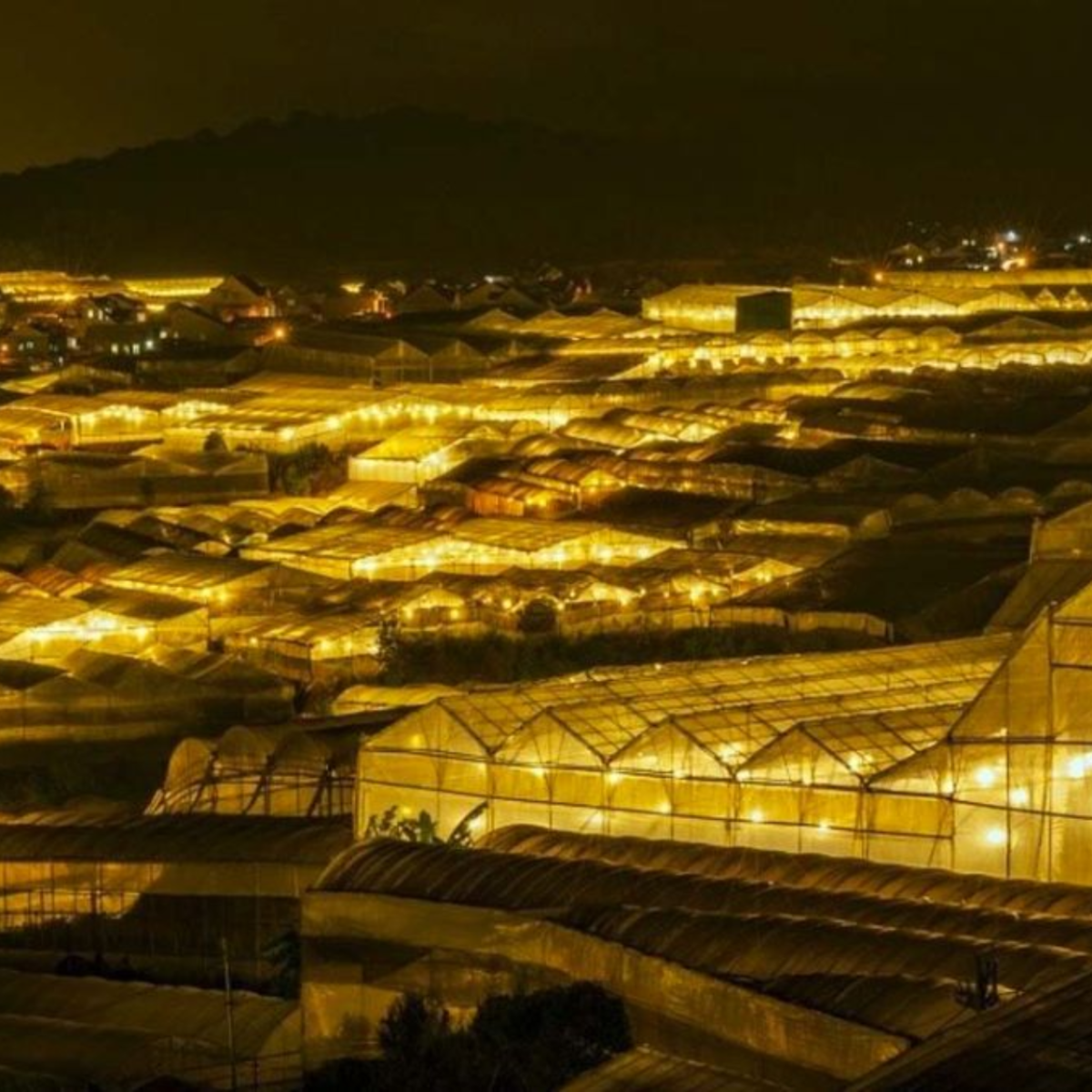 land tour nha trang đà lạt 4N3Đ
