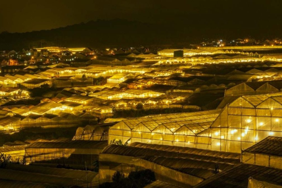 land tour nha trang đà lạt 4N3Đ