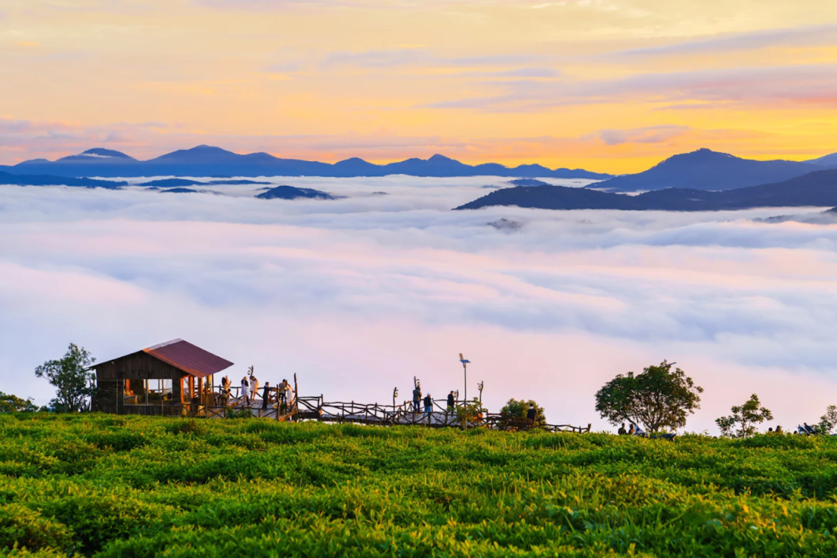 điểm vui chơi ở đà lạt hấp dẫn