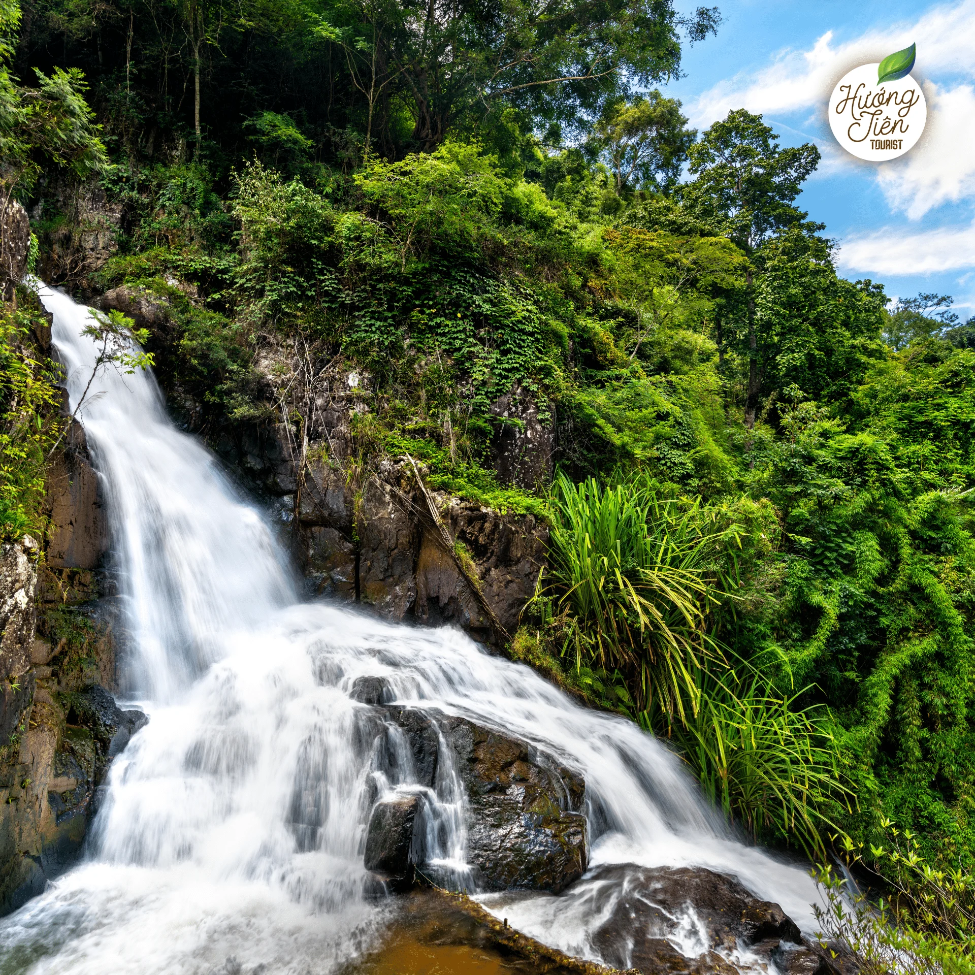 TOUR NHA TRANG - DA LAT | 1 DAY | CITY TOUR - Ảnh 5