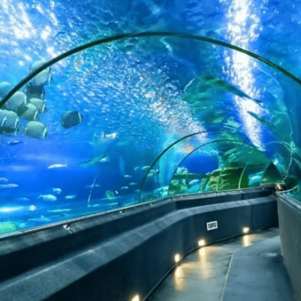 thuy cung aquaria