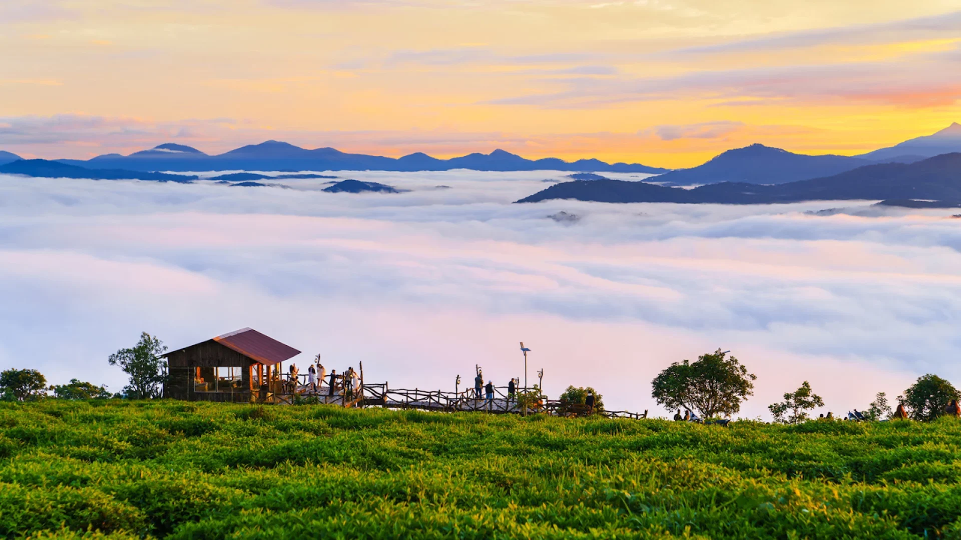 Hướng Tiên Tourist chuyên tour Đà Lạt
