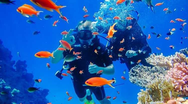 lặn biển ngắm san hô hòn mun nha trang