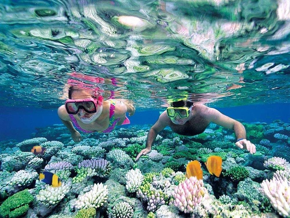 tour lặn biển ngắm cá nha trang