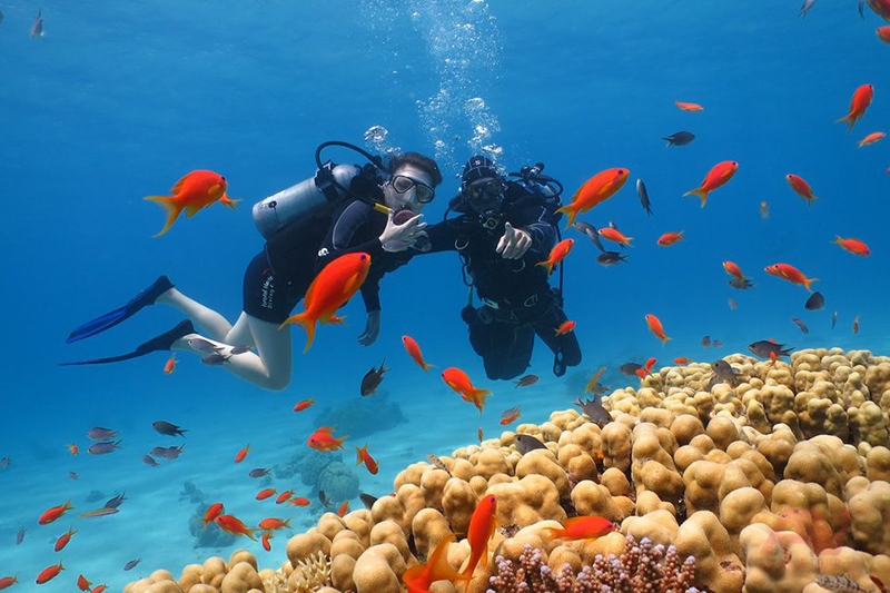 land tour nha trang đà lạt trọn gói