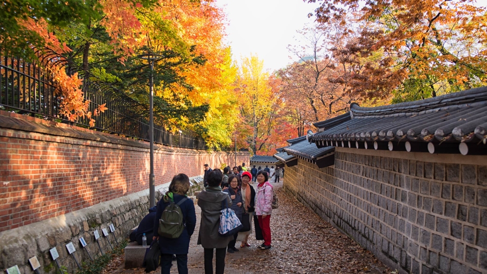 tour du lịch hàn quốc mùa thu