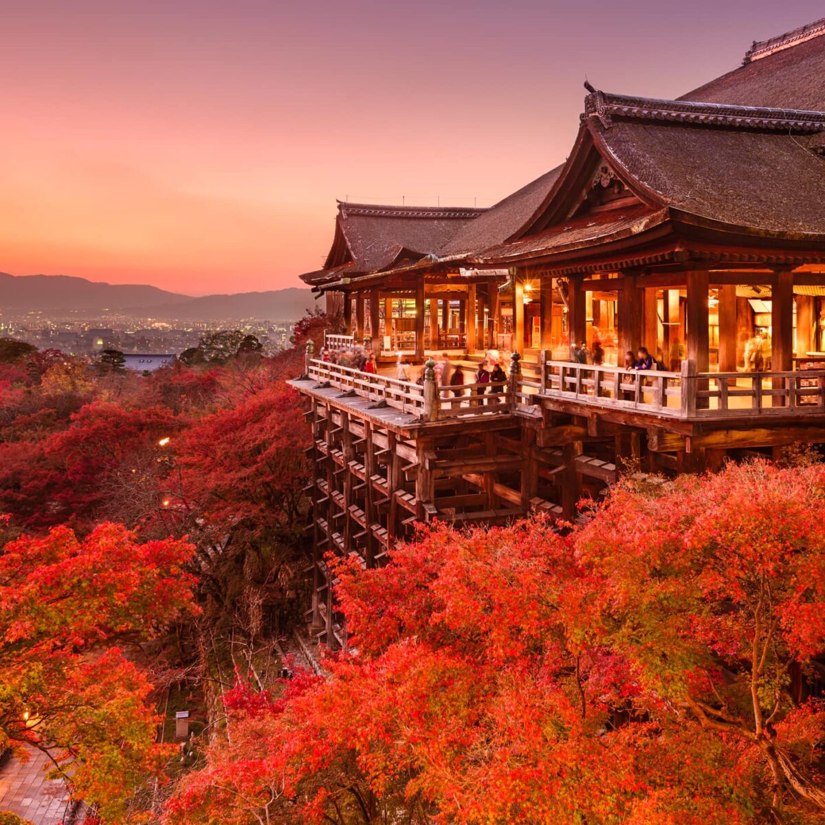 tour nhật bản mùa thu lá đỏ tháng 11