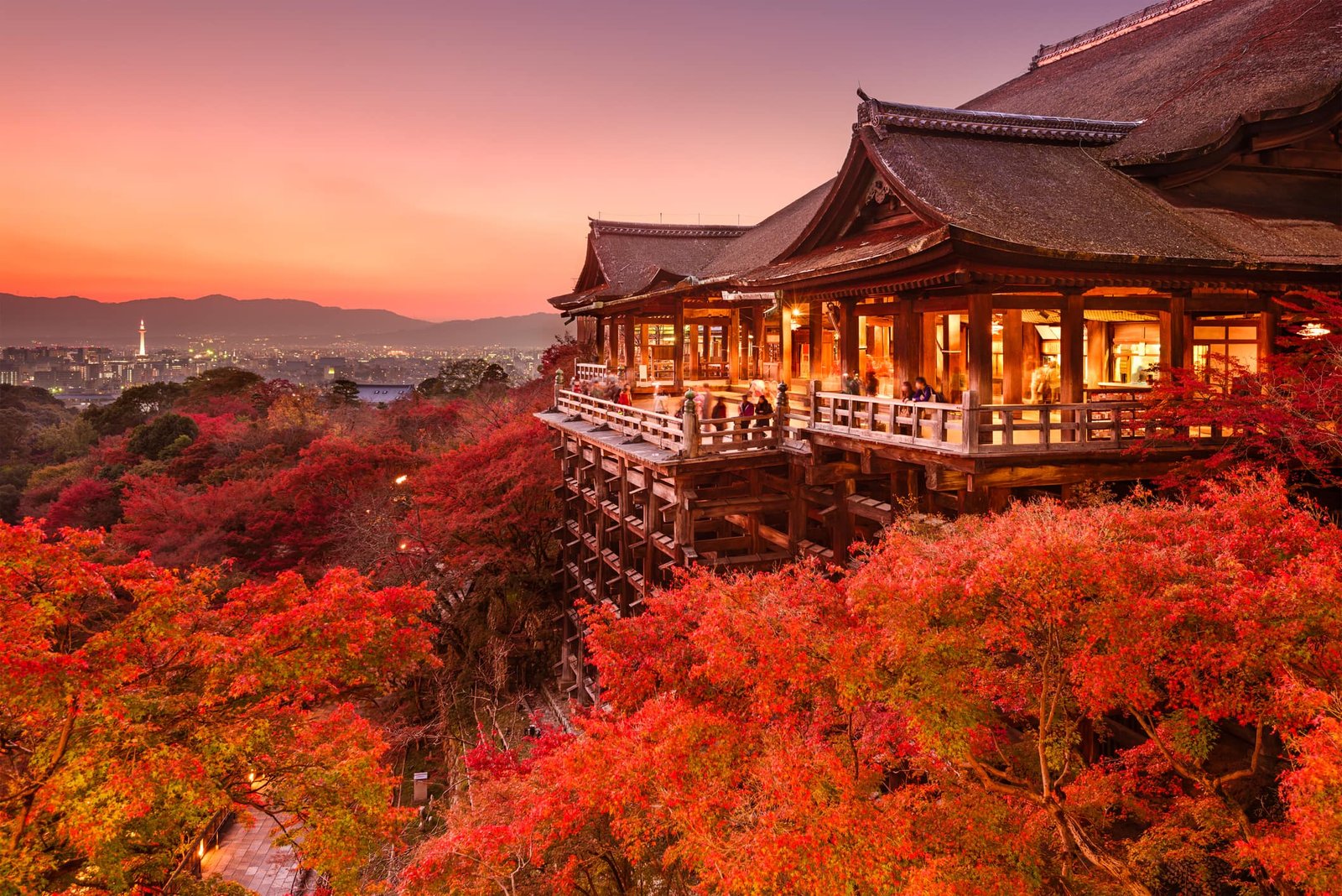 tour nhật bản
