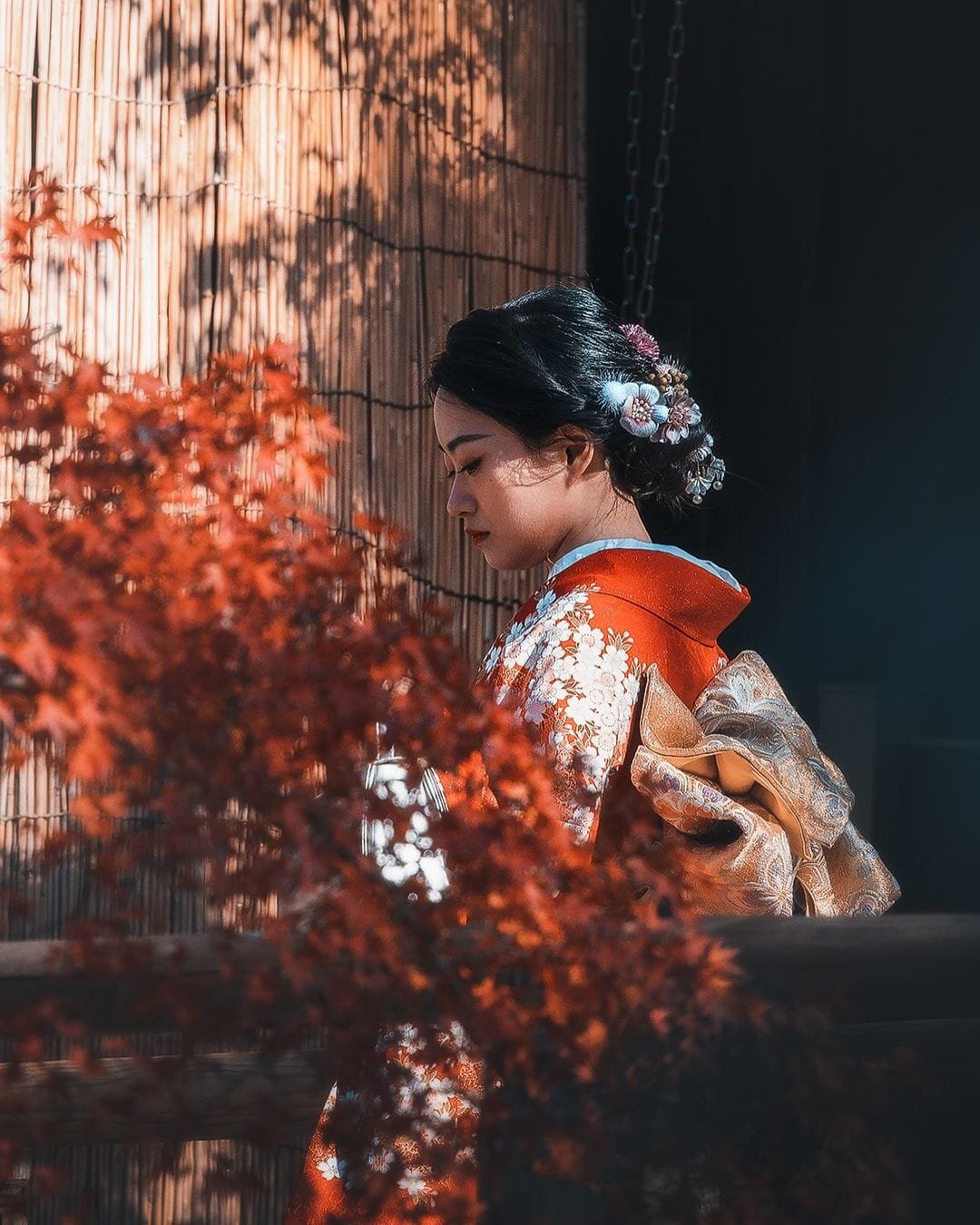 mùa thu lá đỏ nhật bản