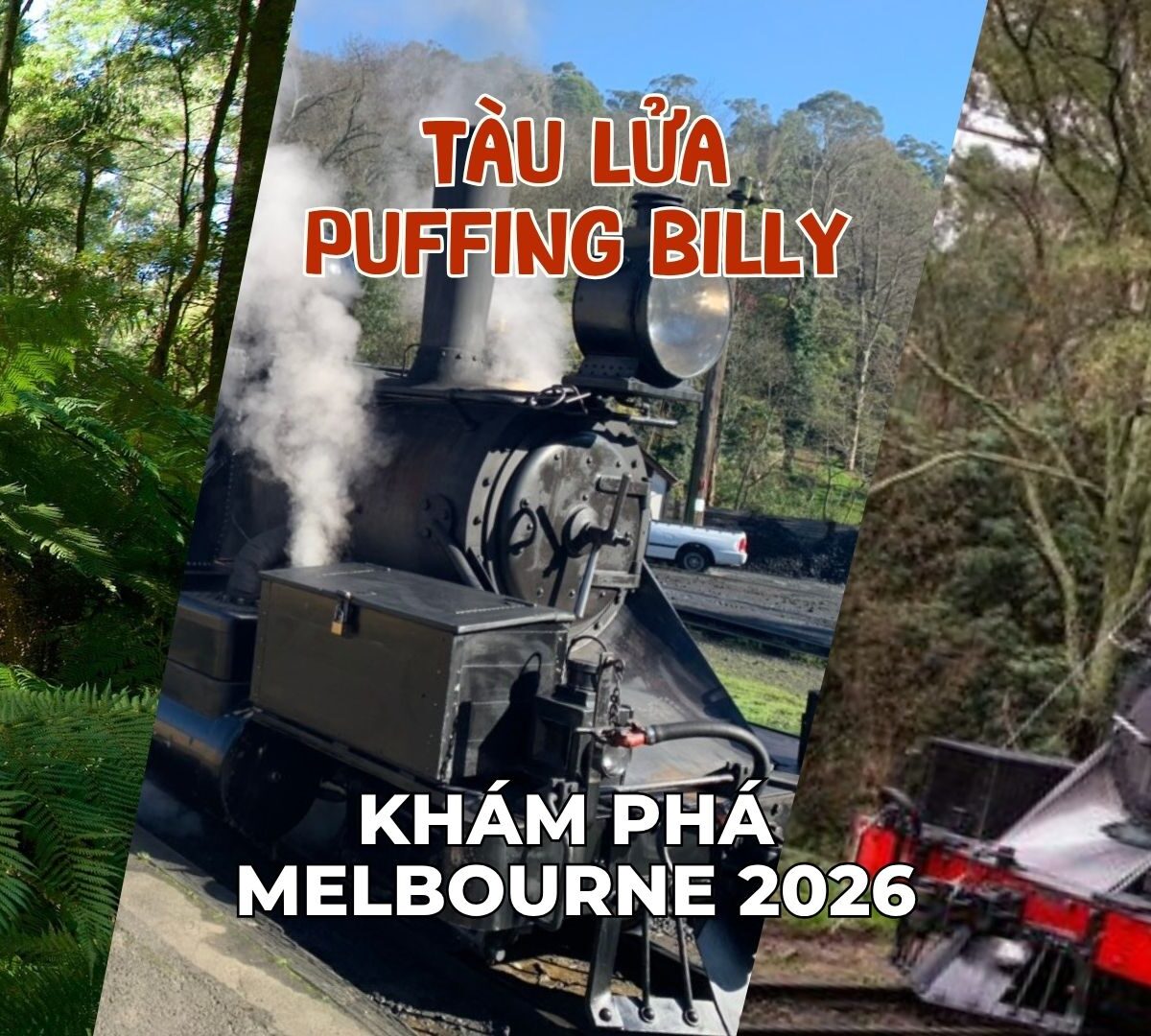 tour úc sydney Melbourne 2026