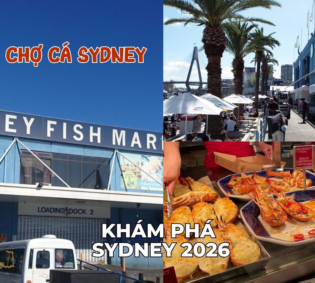 tour úc sydney Melbourne 2026
