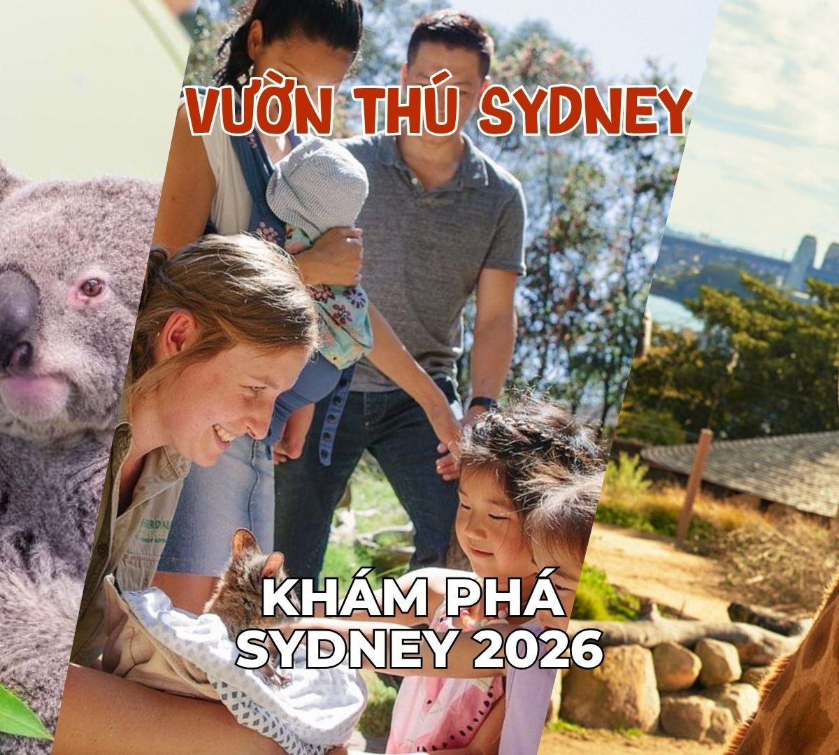 tour úc sydney Melbourne 2026