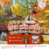 tour hàn quốc mùa thu giá rẻ 2025