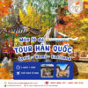 tour hàn quốc mùa thu 2025