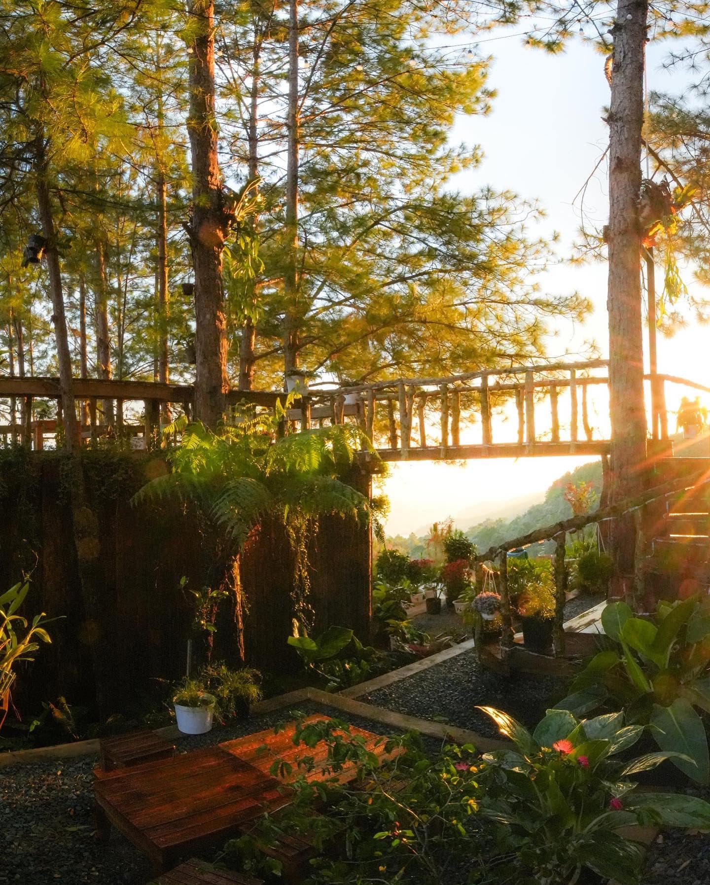 Dalat Tours