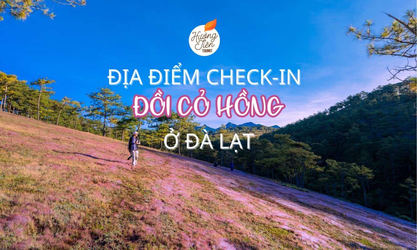 đồi cỏ hồng đà lạt
