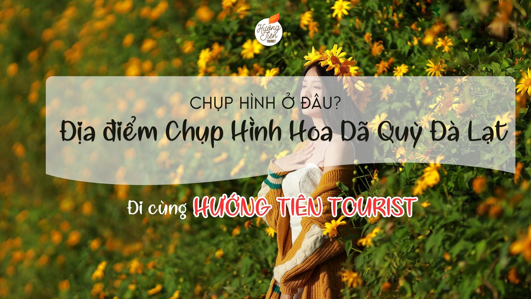 địa điểm chụp hình hoa dã quỳ đà lạt