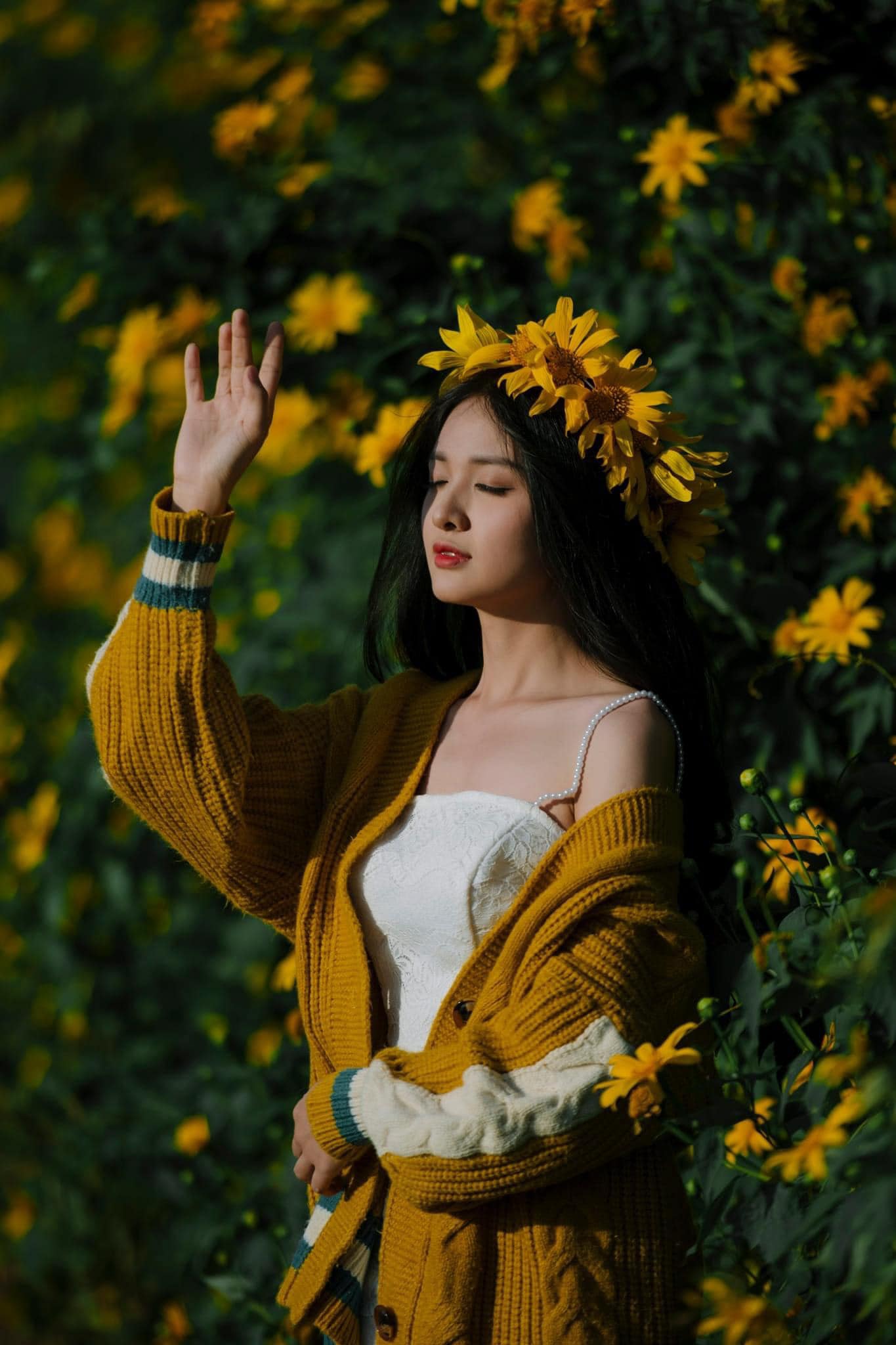 điểm chụp hình hoa dã quỳ đà lạt