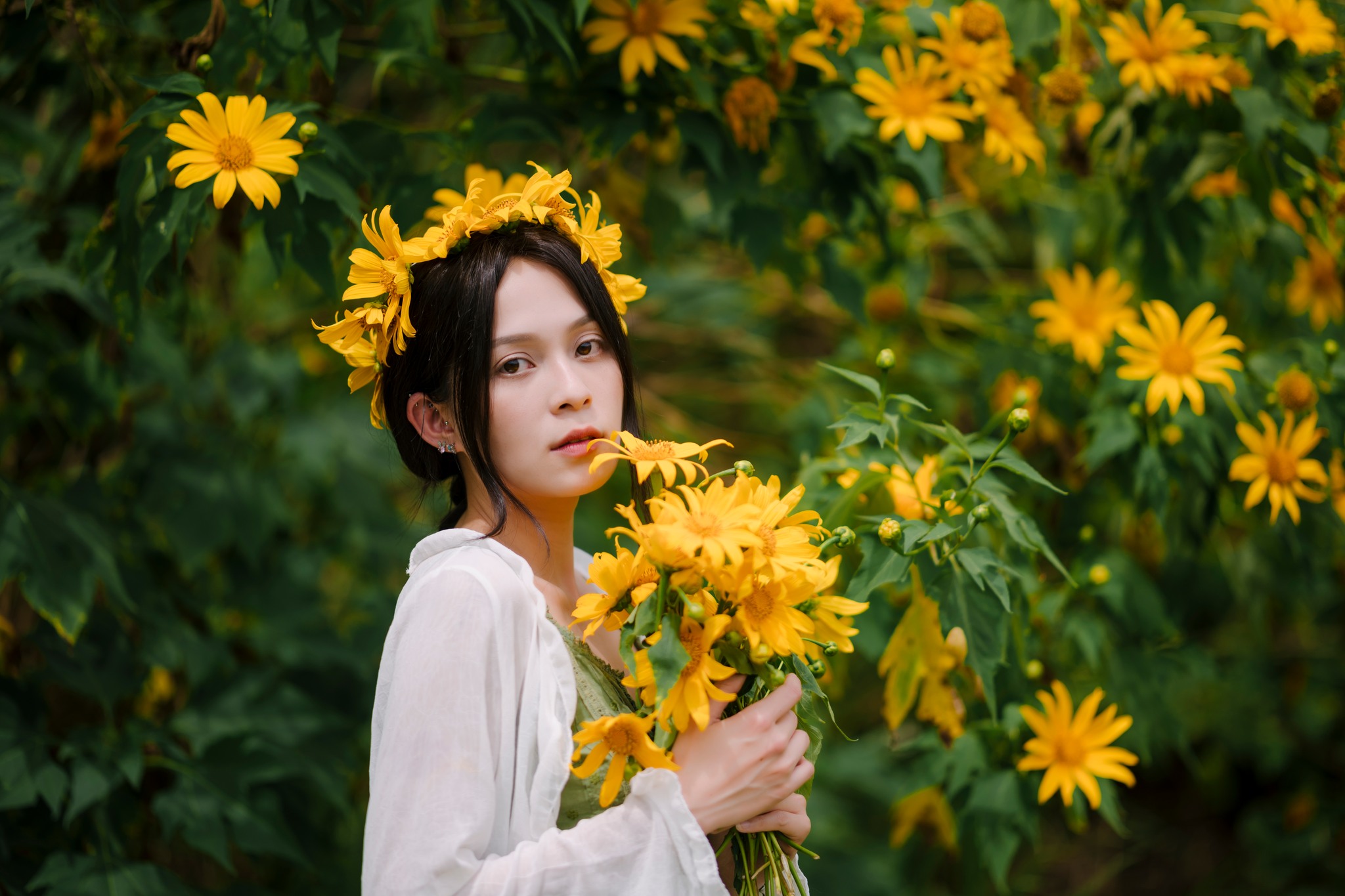 mùa hoa dã quỳ đà lạt