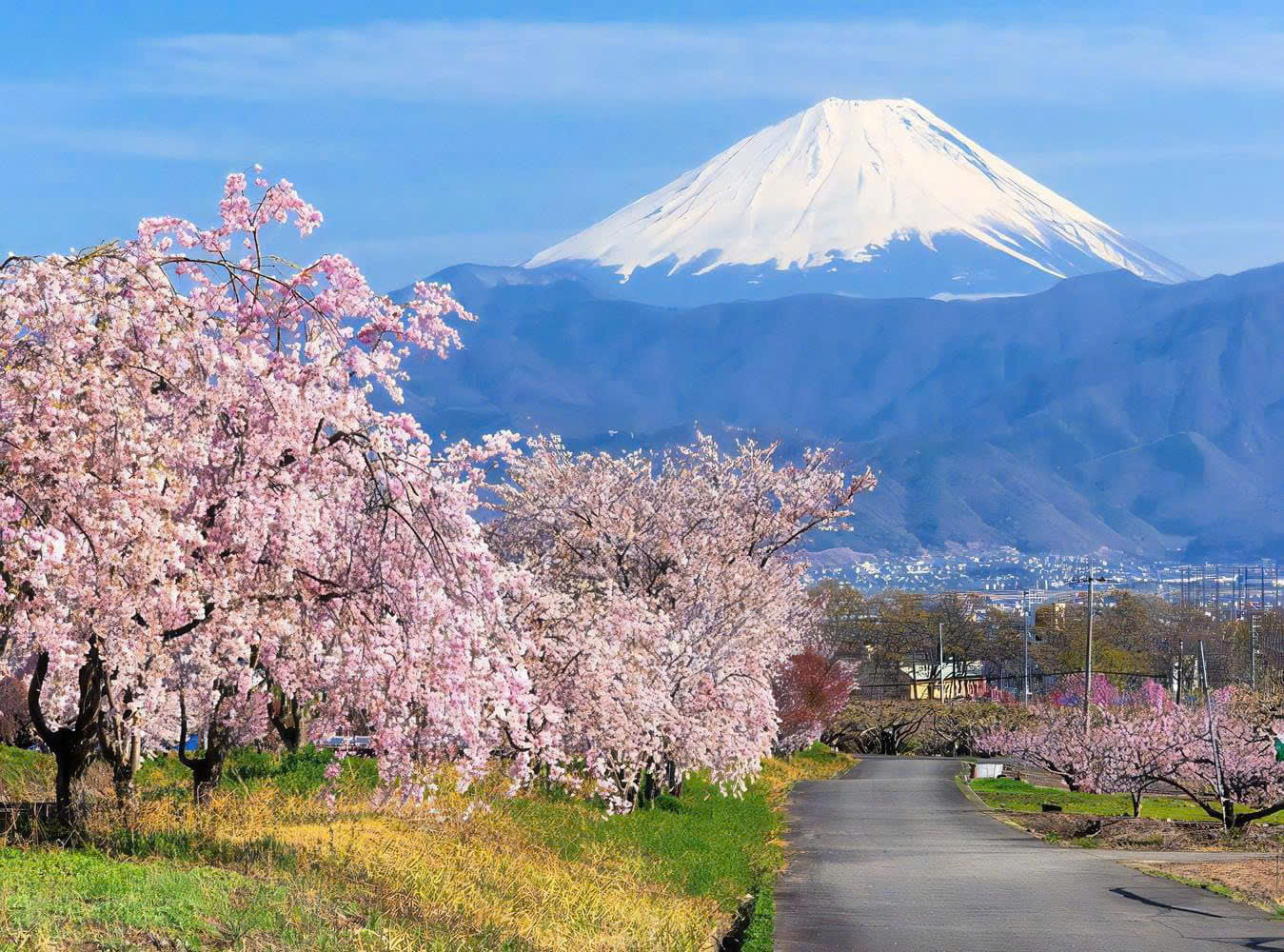 Tour Nhật Bản Tết 2026