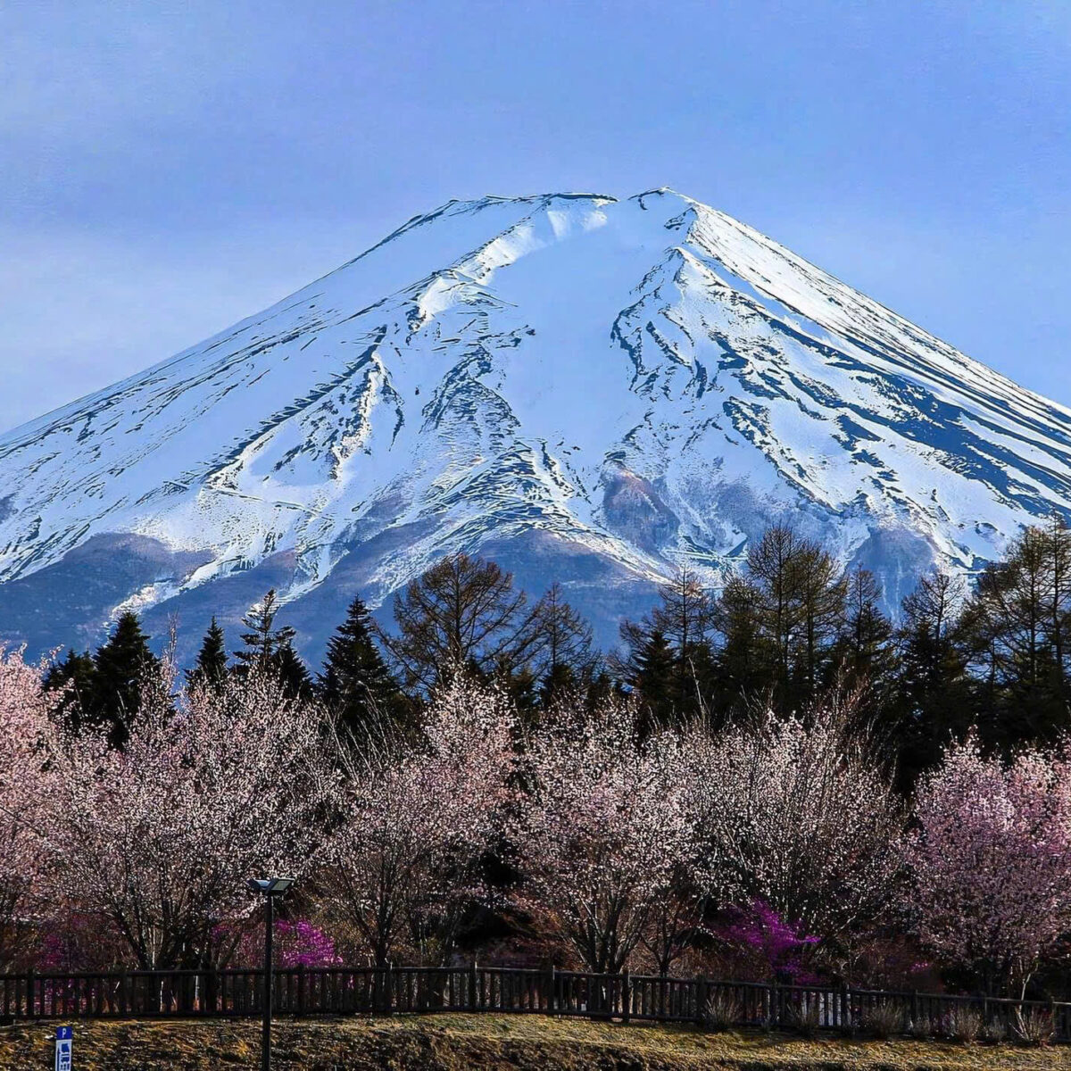 núi phú sĩ nhật bản