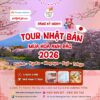Tour Nhật bản mùa hoa anh đào 2026