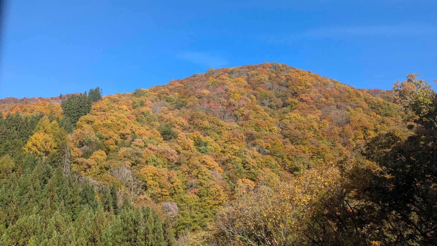 mùa thu ở nhật bản