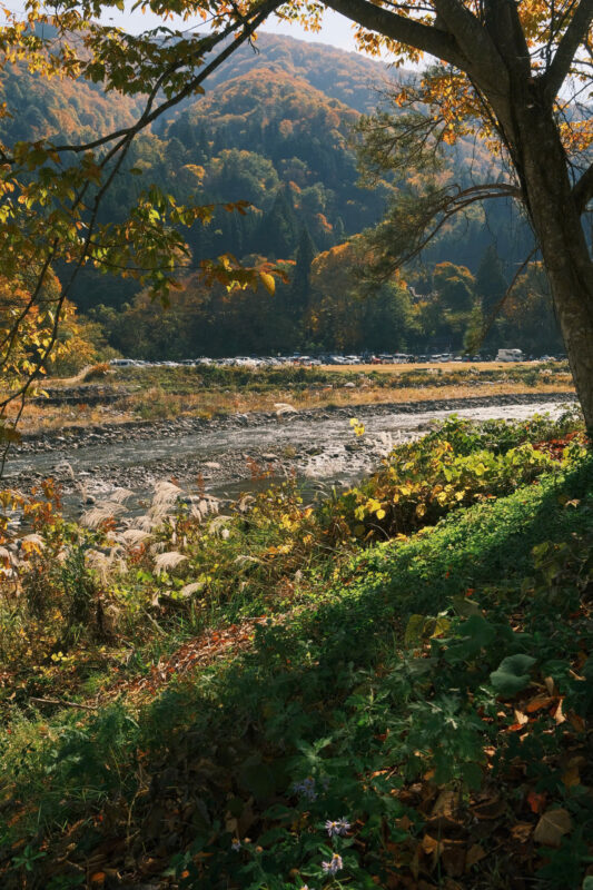 nhật bản mùa thu