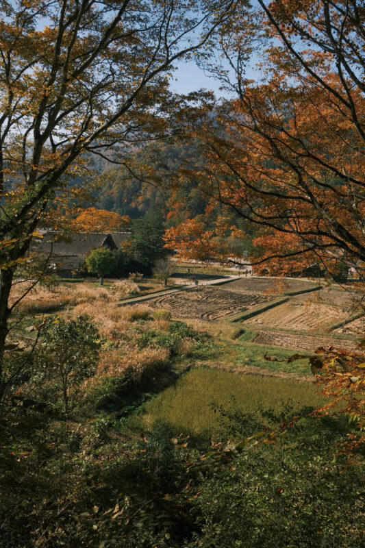 nhật bản mùa thu