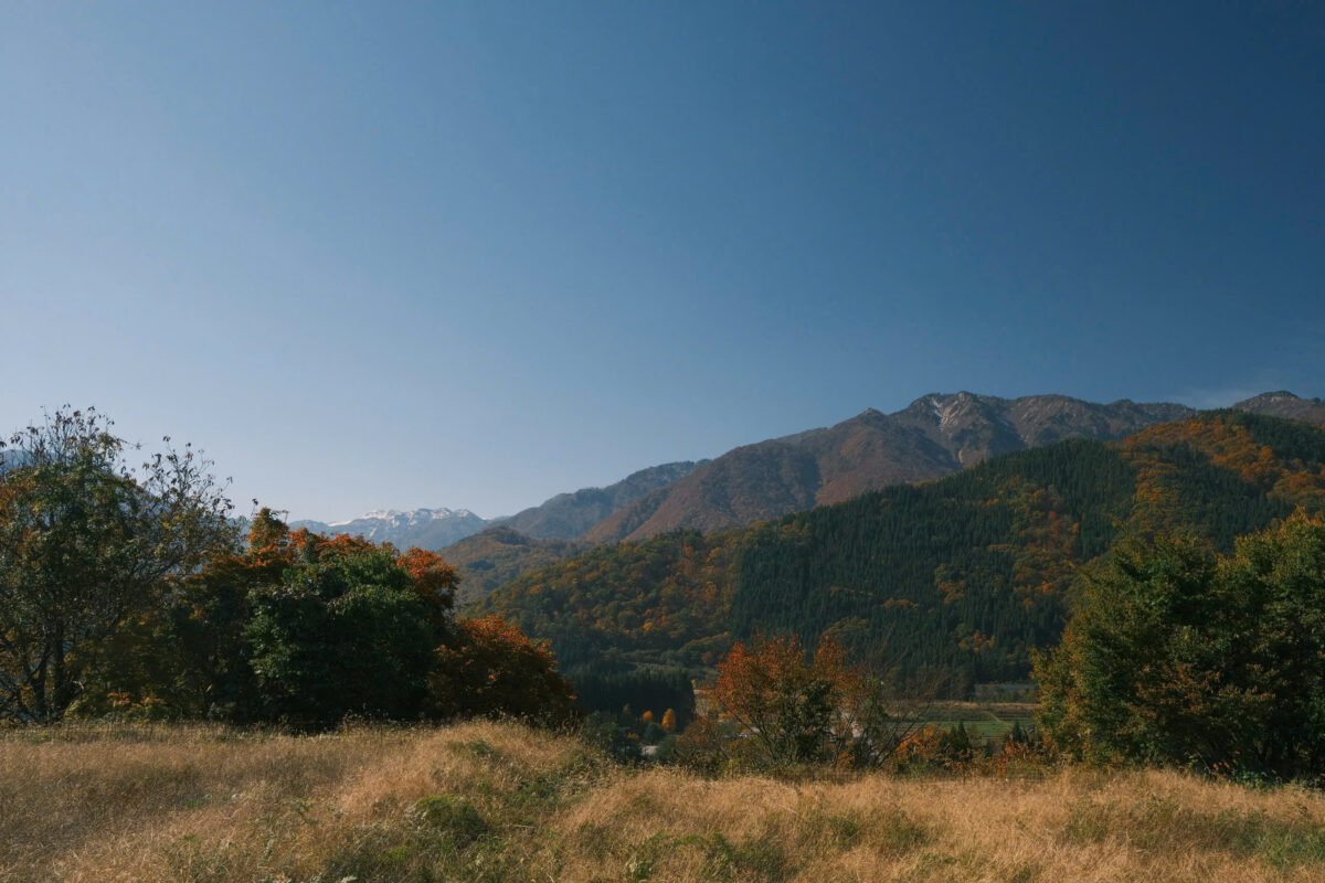 nhat ban mua thu la do huong tien tourist 39