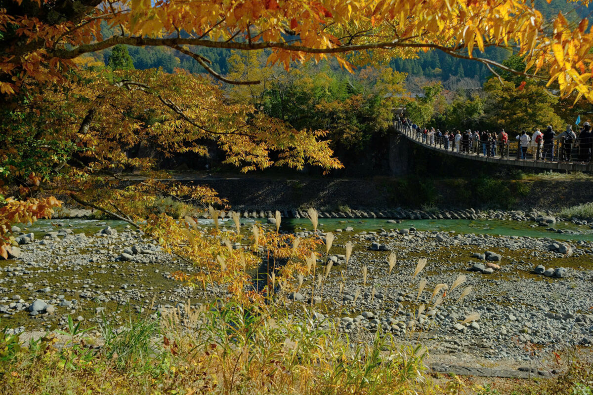 nhật bản mùa thu lá đỏ