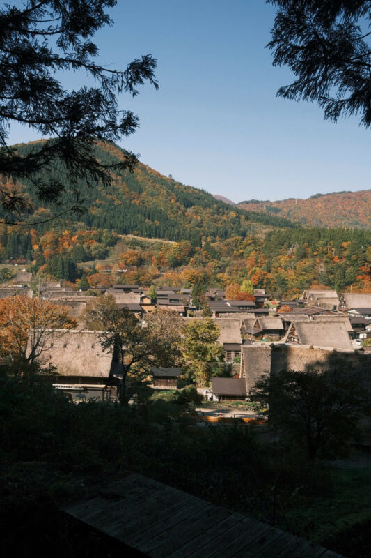 nhat ban mua thu la do huong tien tourist 45