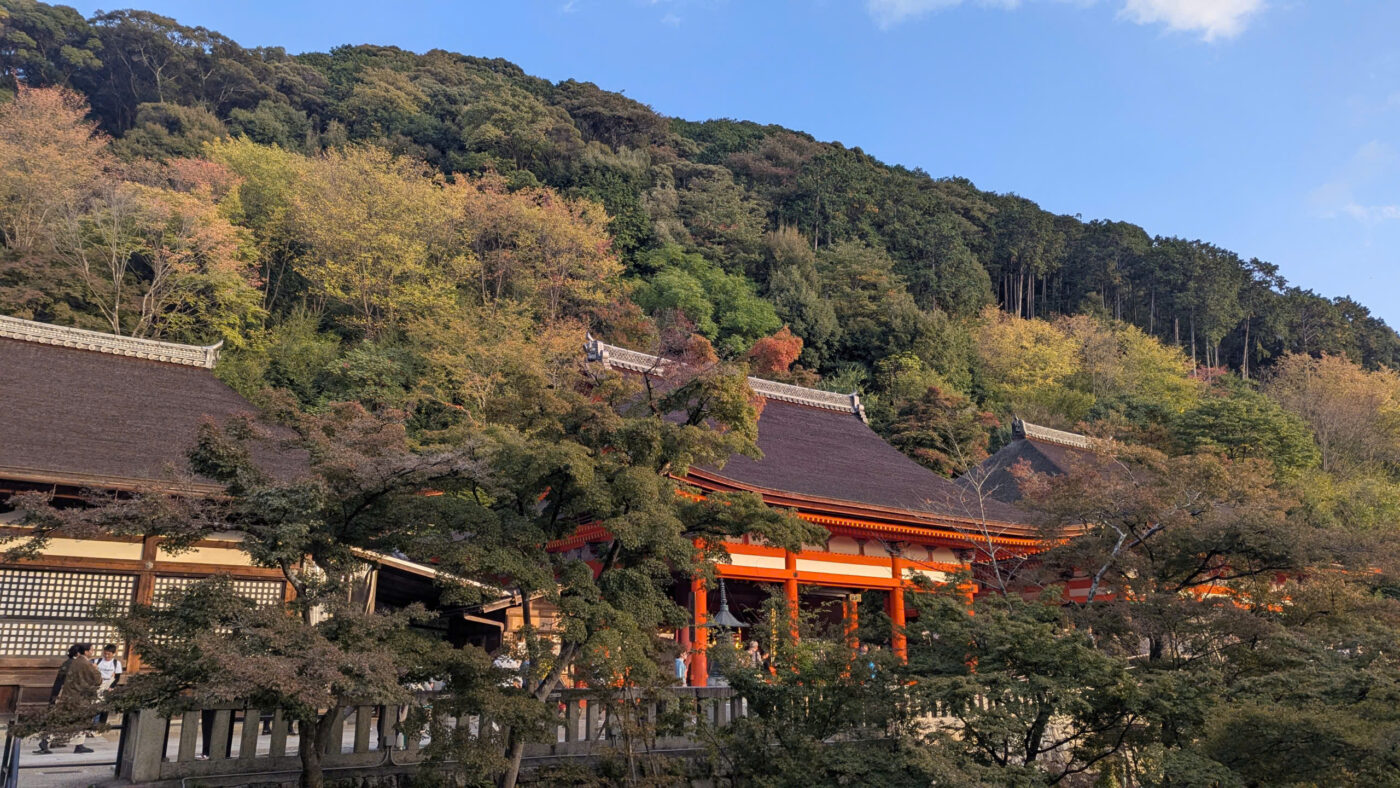 nhật bản mùa thu lá đỏ