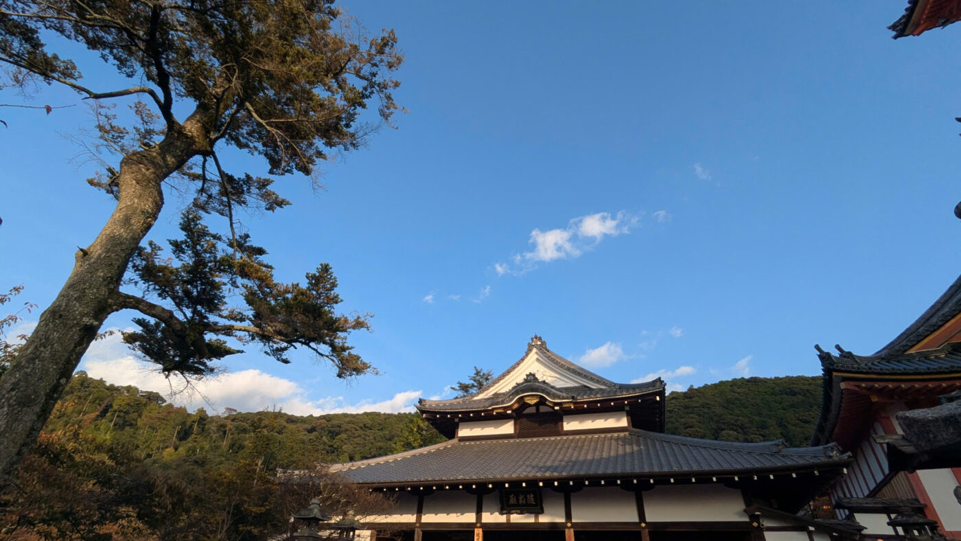 nhat ban mua thu la do huong tien tourist 9