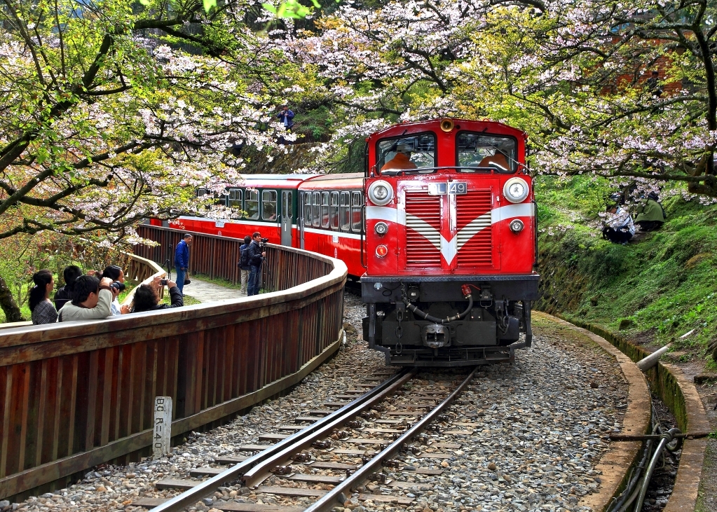 tour đài loan alishan 5 ngày 4 đêm