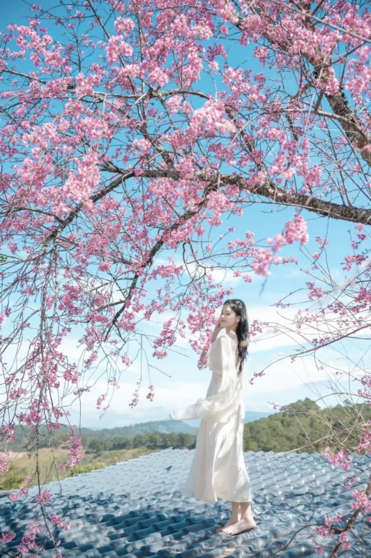 Lễ hội hoa mai anh đào Đà Lạt