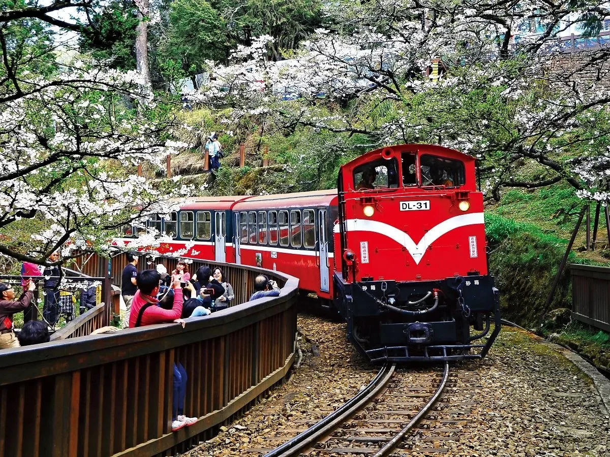 tour đài loan alishan 5 ngày 4 đêm