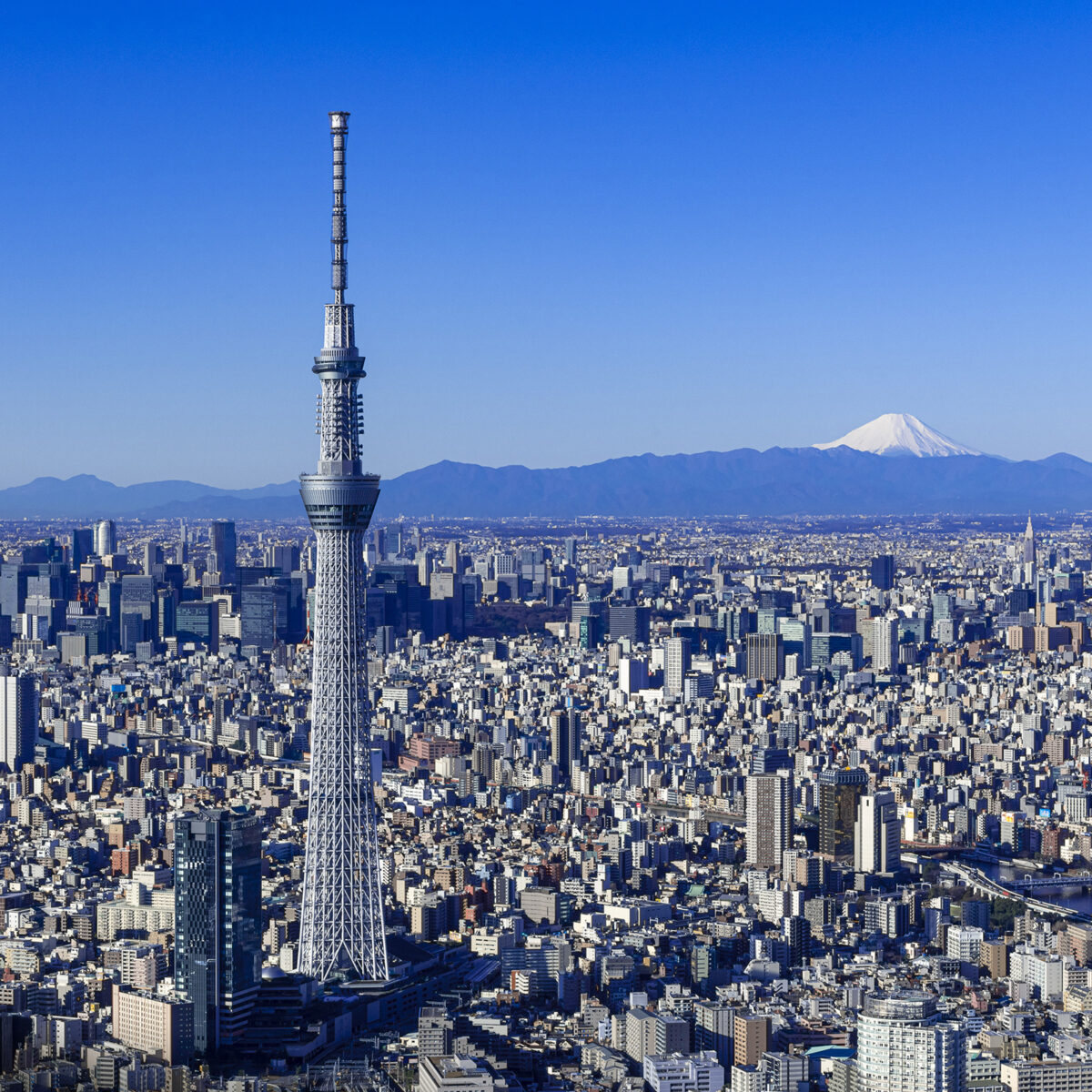 Tokyo Skytree Observation Deck e94d6f00 36c4 4537 8e5b 2357af72098f